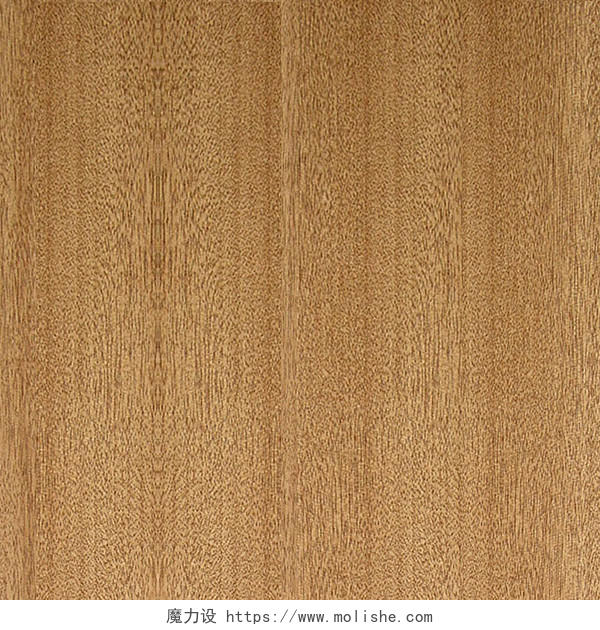 实木木纹木板纹路纹理实木素材木皮木纹纸贴图装饰木元素
